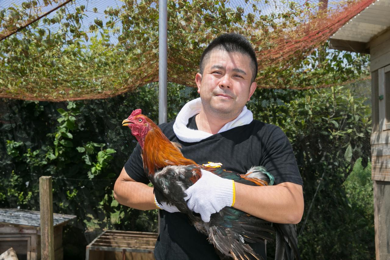 Sazareishi Takashima Hotel Nobeoka Zewnętrze zdjęcie